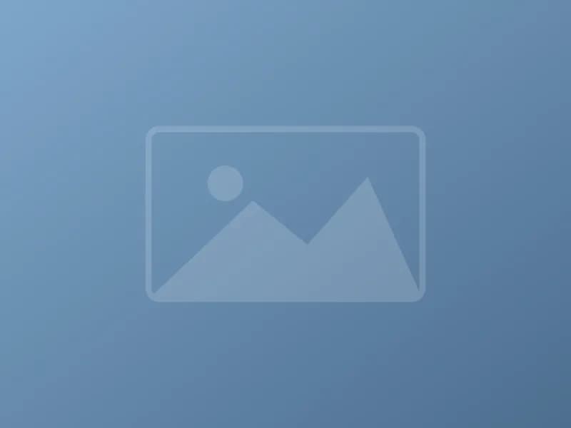 Placeholder photo for the AI governance article